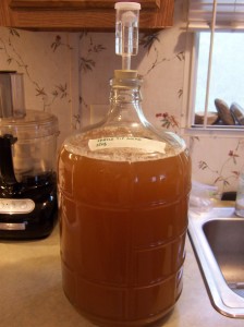 Spruce Tip Mead – BardicBrews.net