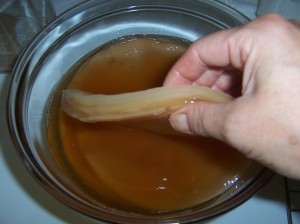 This is a SCOBY