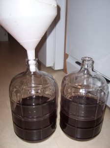 first batch of Double Blueberry Mullein, split among 2 three gallon carboys