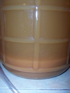 Sediment formed at the bottom of the cider after sitting for a few days