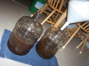 The first of 2 batches, 3 gallons each, was split between 2 carboys