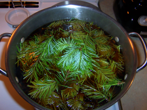 Spruce tips in with the chaga decoction for the last few minutes.