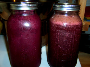 Two half-gallon jars filled with fresh elderberry juice.